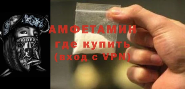 индика Богородск